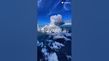 القرآن الكريم #quran #اكسبلور #المصحف #تلاوة_خاشعة #صوت_جميل # محب القارئ محمد الفقيه❤️