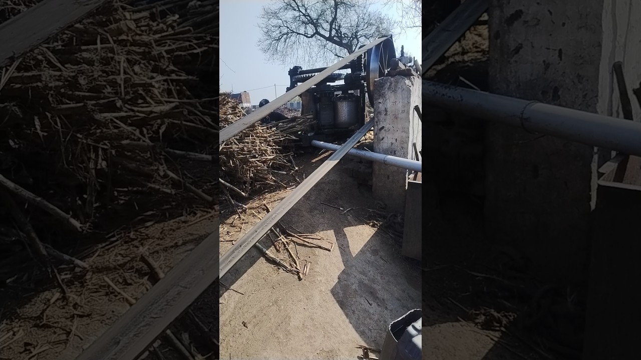 # Desi gud banabe ki bidi @