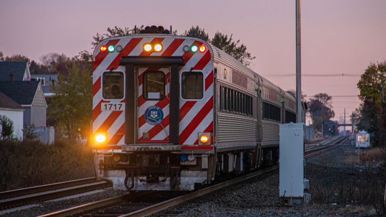 Best Hornshows Of The Year (2021 Edition)