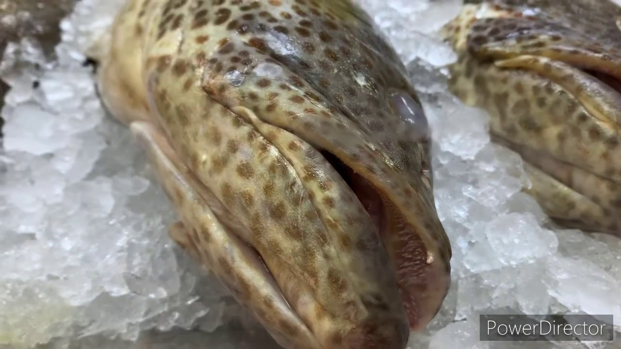 My First blog in ruwais housing