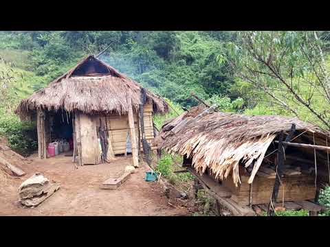 Video: Vim Li Cas Kab Ntsaum Liab Yog Qhov Txaus Ntshai?