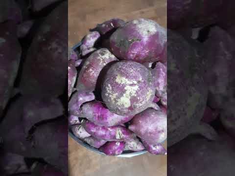 prodokto sa bukid sa lote ko