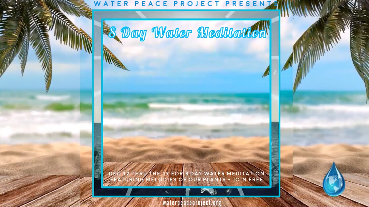 Love and Gratitude All Year Long Water Peace Project  Dec 2023 to Dec 2024.mp4