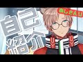 【自己紹介】初めまして、あしさんりです。【新人Vtuber】