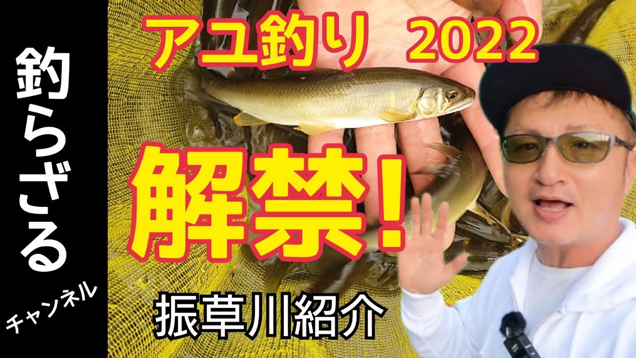【鮎釣り解禁‼2022】保存版！愛知県振草川紹介！