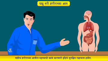 4th EVS 1 | Chapter#11 | Topic#02 | आंतरेंद्रिये | Marathi Medium