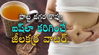 Fat Remove Drink with Jeera (Cumin Seeds) in Telugu-Weight Loss Tips-TeluguTips
