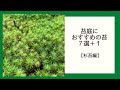 苔庭におすすめの苔７選＋１【杉苔編】