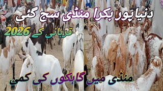 Qurbani 2026 ka breedar Bakra Dunyapur Bakra Mandi ma