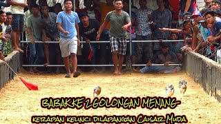 Babak ke 2 golongan menang kerapan kelinci dilapangan Caisar Muda || Kerapan kelinci