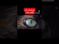 من أسباب كره الناس لك بدون سبب علي الرغم من أنك طيب معهم استمع نصيحة الحسد