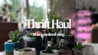 2 Hour Long Thrift Haul & Succulent Tour with Repot 🤍