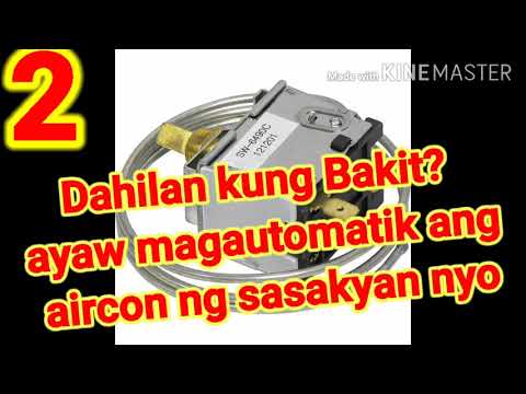 Video: Maaari bang gayahin ng mga dinosaur ang mga tunog?