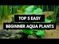 No co2, No Substrate and Low Light Plants Fits for any Aquarium...