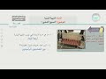 النسيج الشعبي 1 التربية الفنية الصف الثالث الابتدائي النسيج الشعبي 1 التربية الفنية الصف الثالث الابتدائي