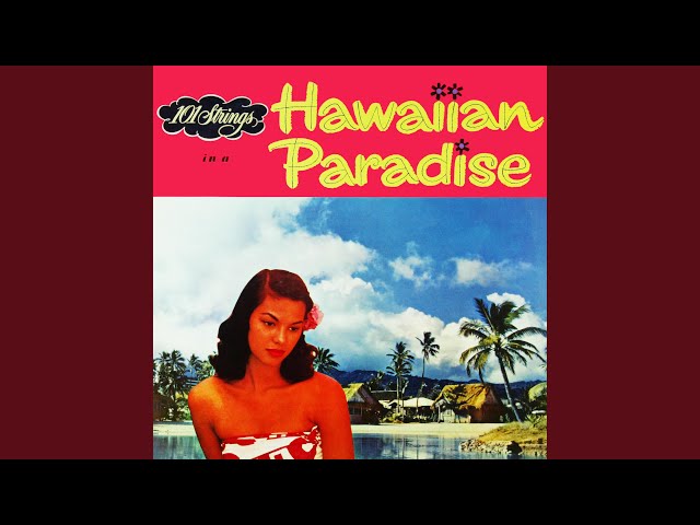 リュージュ 50弁 タイニーバブルス ハワイアンウェディングソング reuge Hawaiian Wedding Song ハワイの結婚の歌【ウクレレアンサンブル/TAB