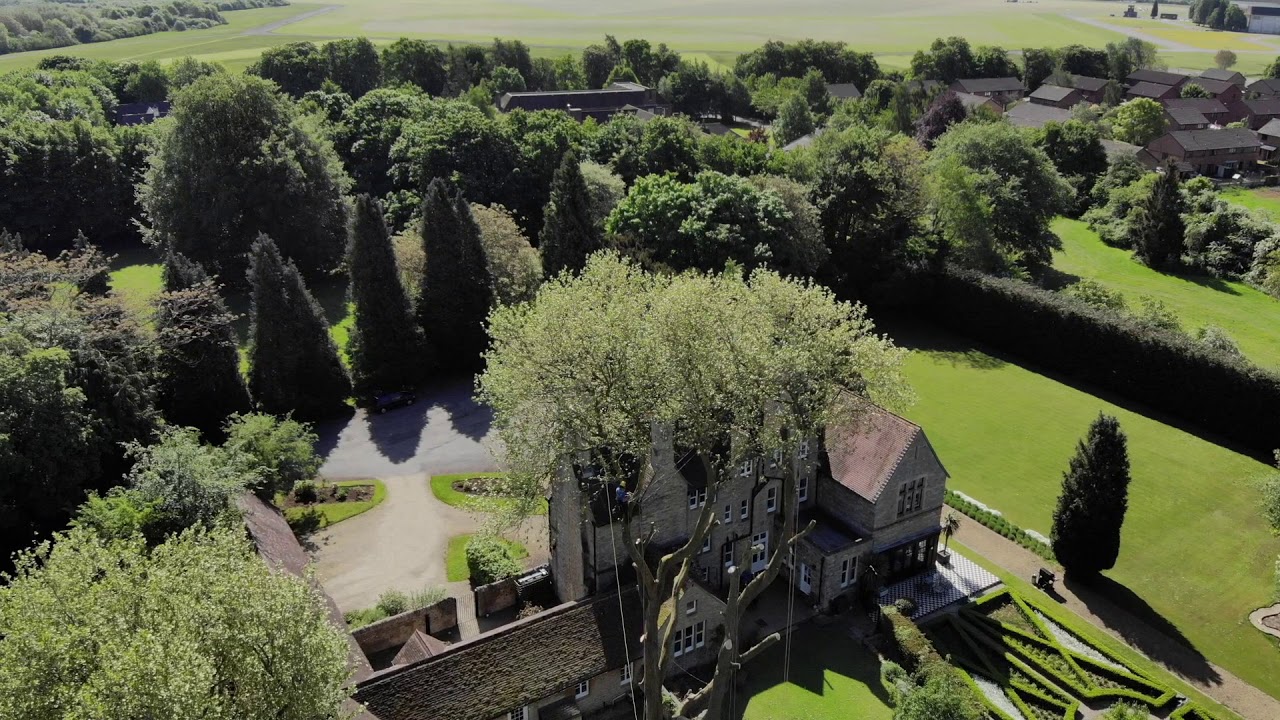 Bicester Tree Services Ltd - Drone Footage