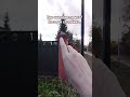 Где находится кот? Позади столбика. | РКИ