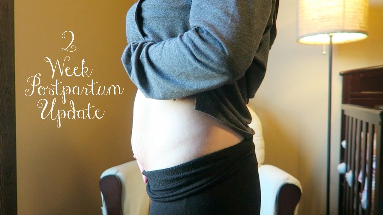 2 Week Postpartum Update YouTube
