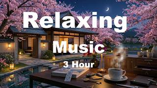 3 Hours Soft Piano Music | Relaxation, Meditation & Stress Relief screenshot 3