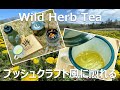 【 #ブッシュクラフト 】黄金の野草茶（タンポポ茶）をブッシュクラフト風に煎れる！