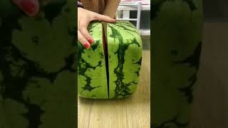 square shape watermelon#shorts