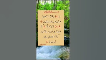 #سورة_القصص #ايات_قرانيه_قصيره #shayari #shots #shotsyoutube #shots_video
