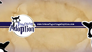 Discussion - Universal Studios Orlando Trip for Foster/Adoptive Families
