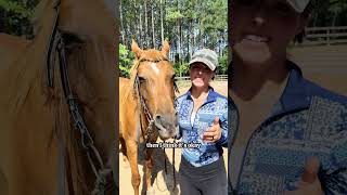 Do You Ride With A Bit Or Bitless?