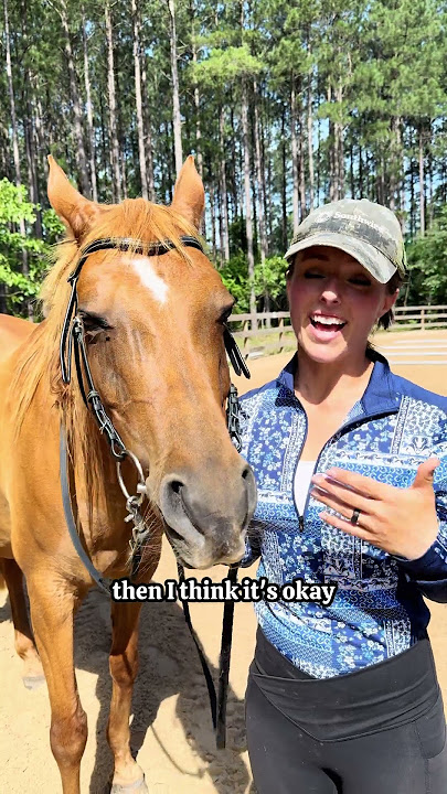 Do you ride with a bit or bitless? ❤️