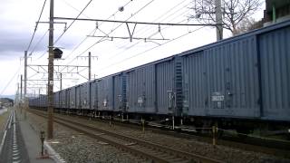 EF66-110+ワム　　3461レ　　吉原～東田子の浦