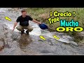 Rio Revuelto GRAN Deposito de ORO/New Récord in Creek. Gold panning Creek