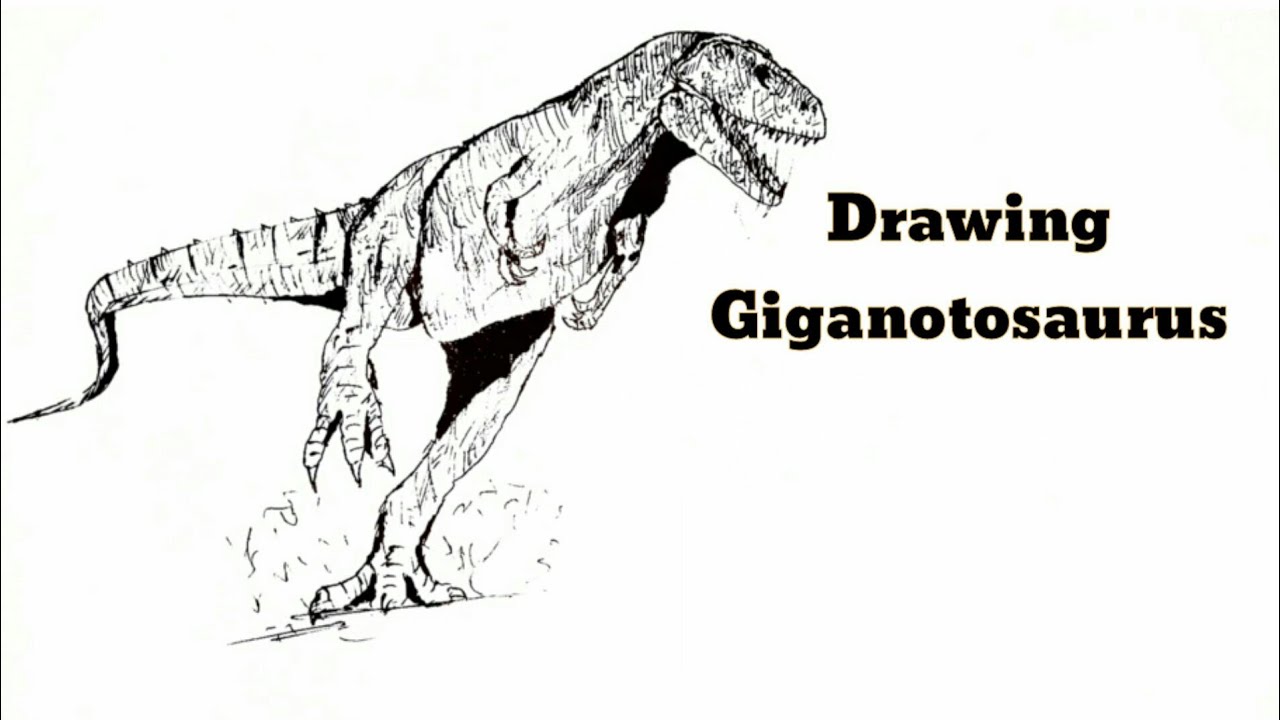 Drawing Giganotosaurus YouTube Drawing Giganotosaurus YouTube