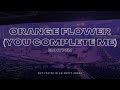 ENHYPEN Orange Flower You Complete Me But You Re In An Empty Arena