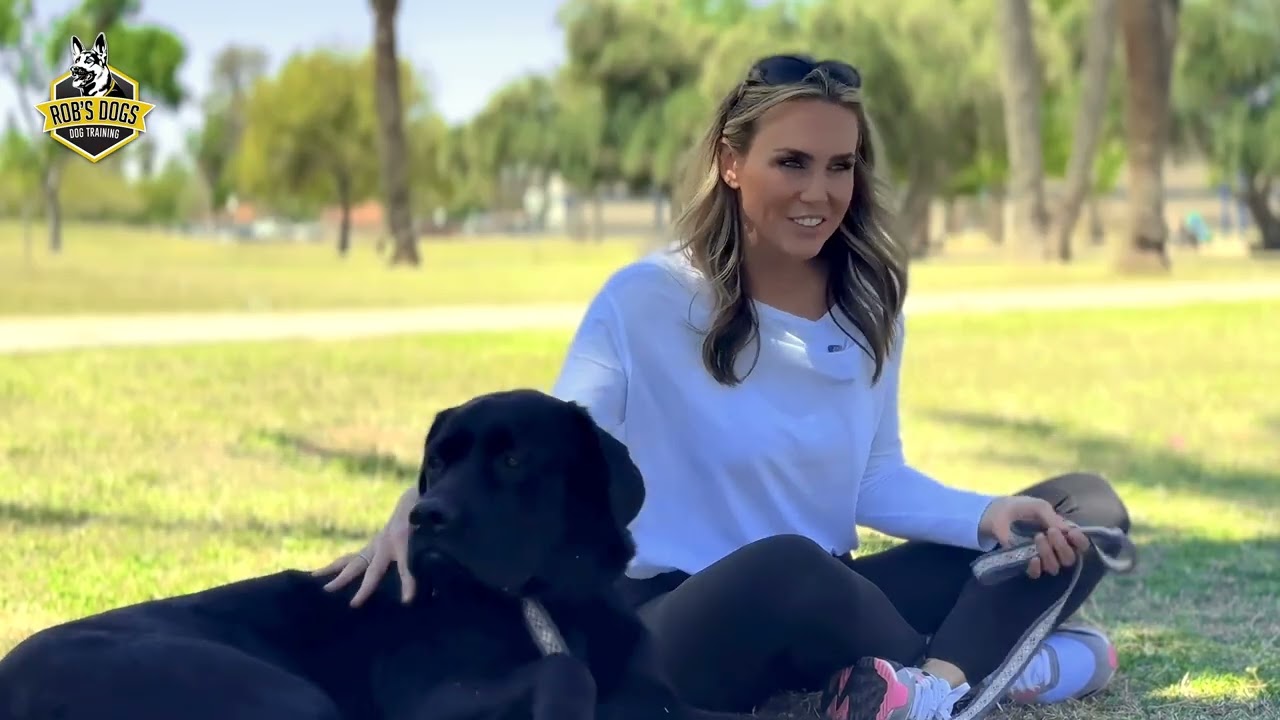 Big dog bigger problems until Rob's Dogs.