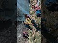 🏔️😎