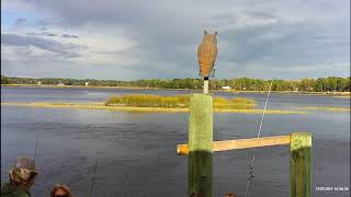 BEAUTIFUL NORTH CAROLINA WATER WAY - GREAT FOR STREAMING ON PROJECTOR OR TELEVISION - SHALLOTTE NC