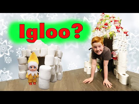 elf-on-the-shelf....-toilet-paper-igloo???-🧻🧻shelf-elf-season-4-day-3