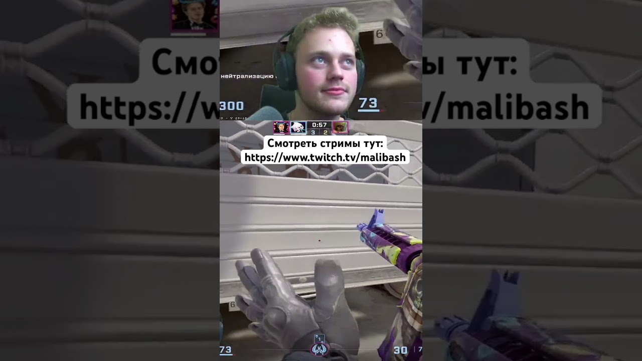 Стримы каждый день в 