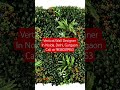Vertical Wall Designer In Noida, Delhi, Gurgaon Call at 9818039953 #walldesigner #verticalwall