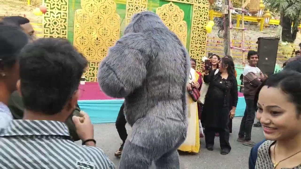 #jaloaoguri #happy street #jalpaoguri utsav 