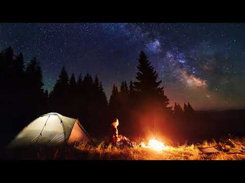 Yaz Gecesi Cırcır Böceği Sesi / Relaxing Music
