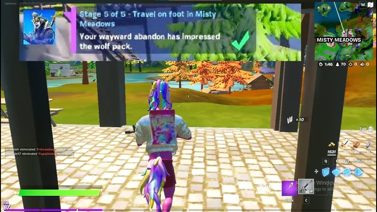 Travel on foot in Misty Meadows - Dire Questline