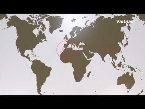 Video: Sóng động đất do động đất tạo ra như thế nào?
