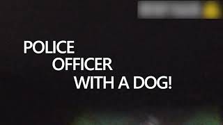 PD Fury & police helicopter track down suspect who tried to hide in open field | West Mercia Police