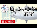 画像をダウンロード マグロ の さばき 方 604821-マグロのさばき方を教えて