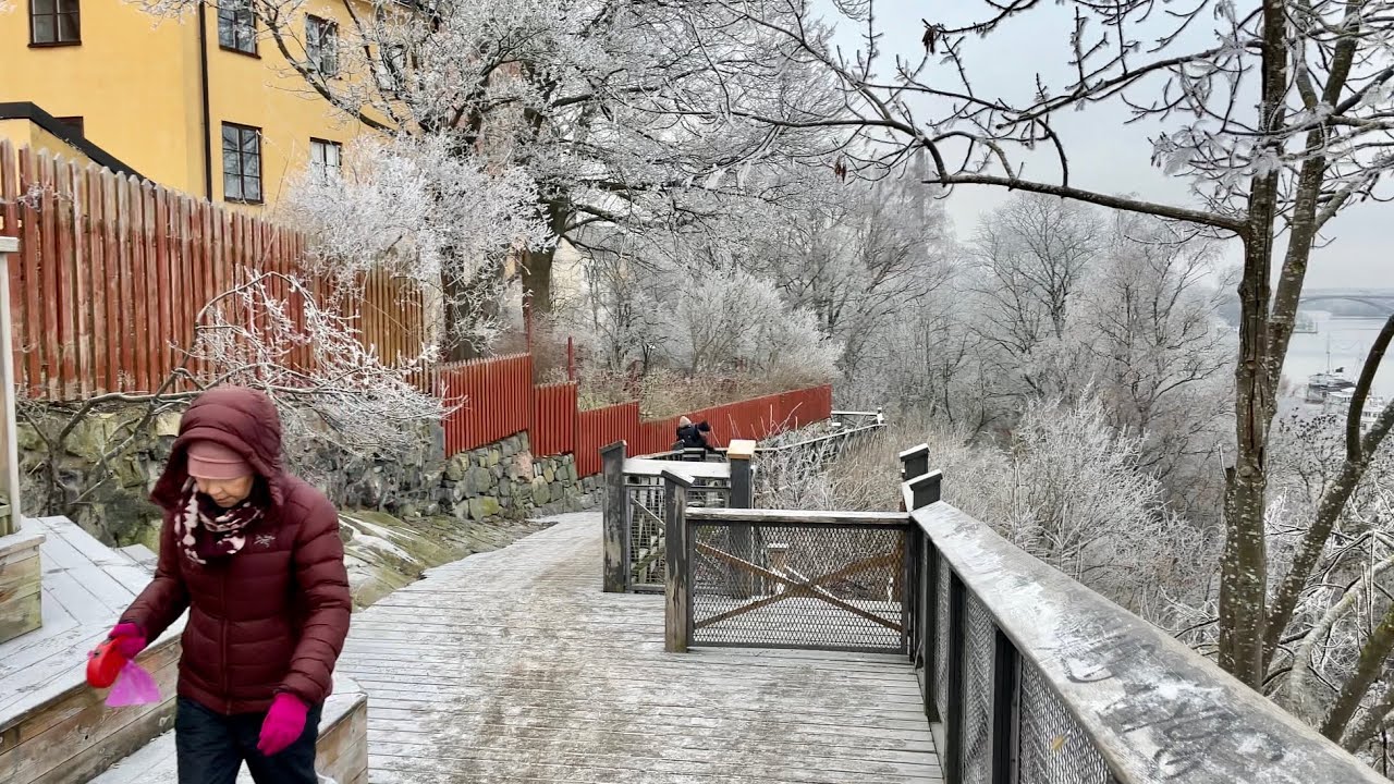 Stockholm Walks: city covered in frost. Beautiful winter walk, Skinnarviksparken to Monteliusvägen