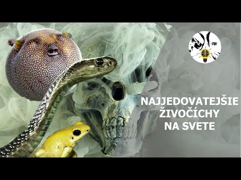 Video: Aké Zviera Je Najjedovatejšie Na Planéte