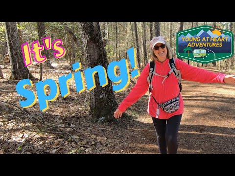 It's Spring!  Spring nature hike at Bass Lake in Holly Springs NC