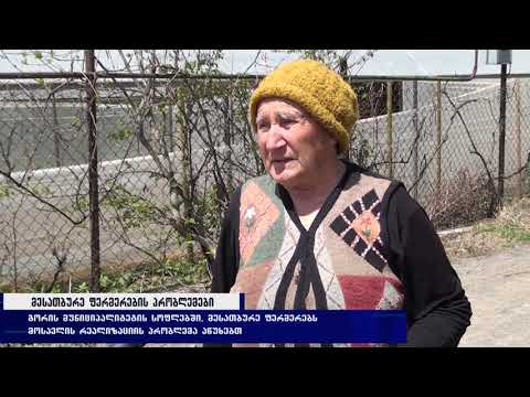 გორის მუნიციპალიტეტის სოფლებში, მესათბურე ფერმერებს მოსავლის რეალიზაციის პრობლემა აწუხებთ